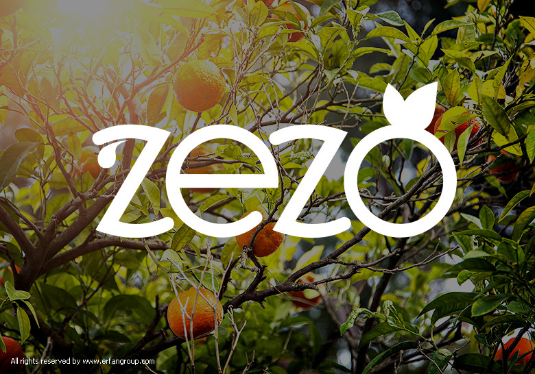 طراحی لوگو برند تجاری zezo