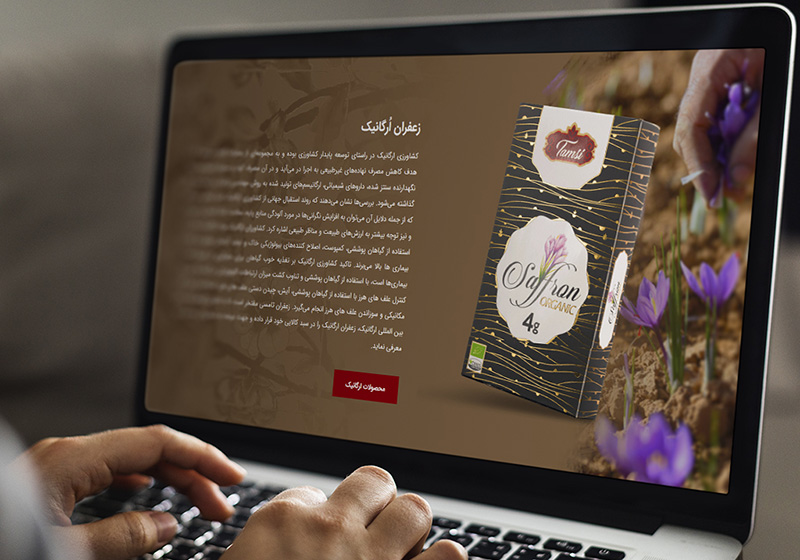 طراحی وبسایت تامسی